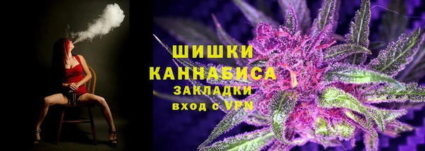 СК Снежногорск
