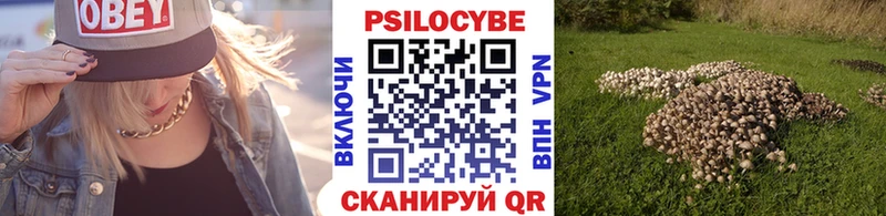 ОМГ ОМГ ссылка  Камбарка  Галлюциногенные грибы Cubensis 